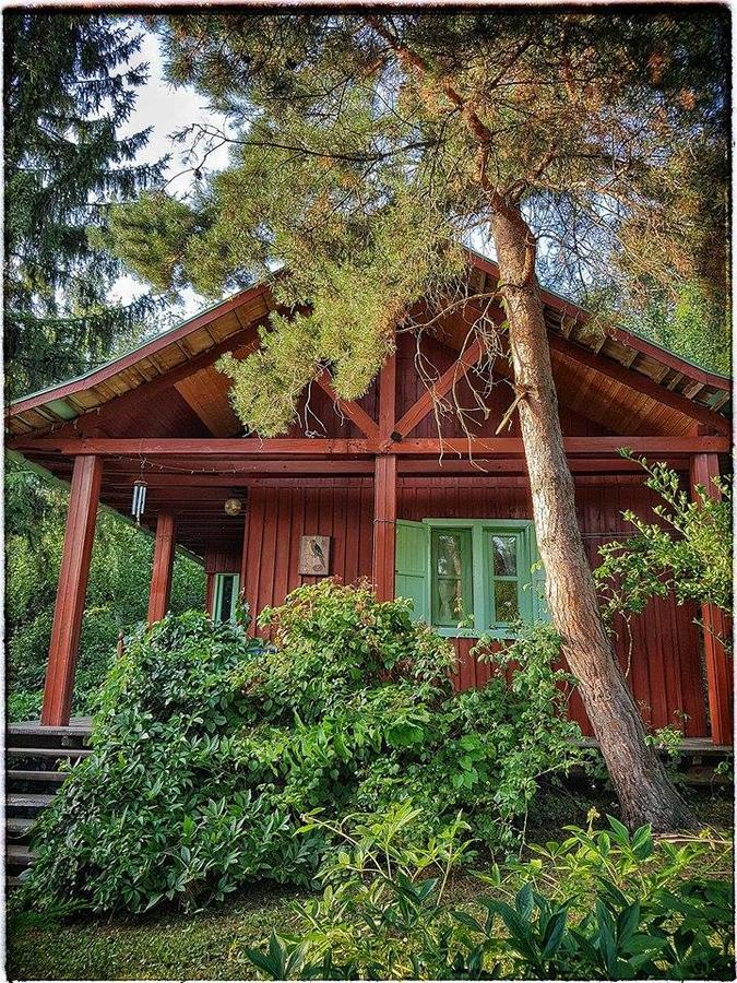 Rosehill Cottage Orbányosfa 외부 사진